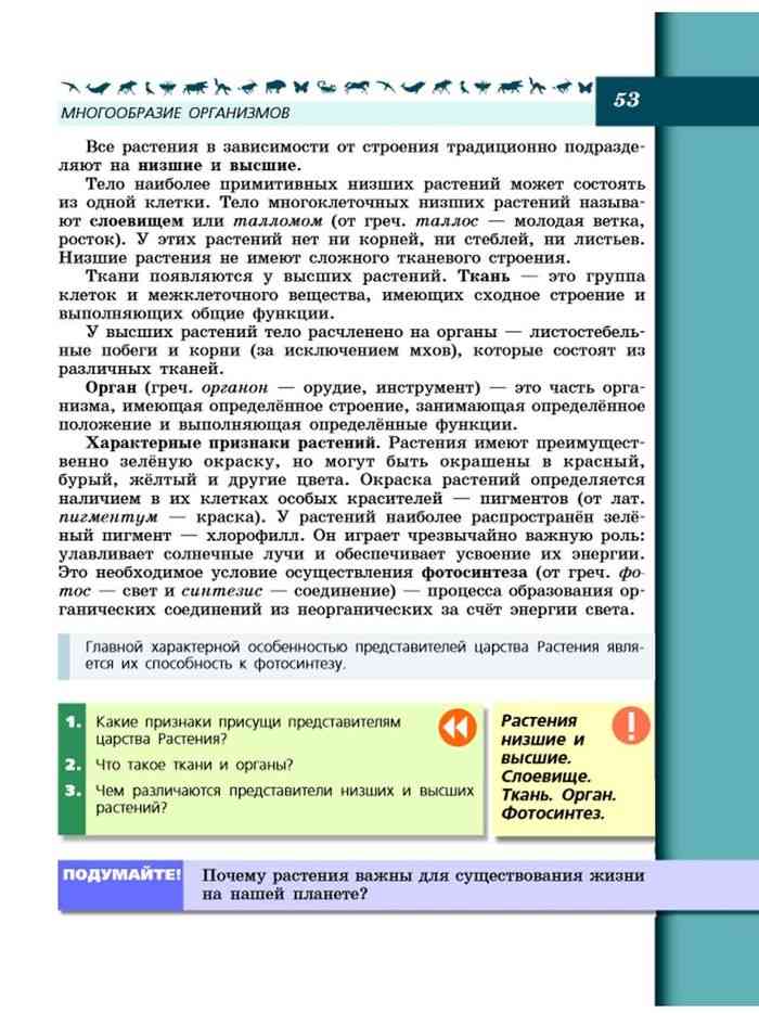 Охрана природы: почему важно беречь животных и растения